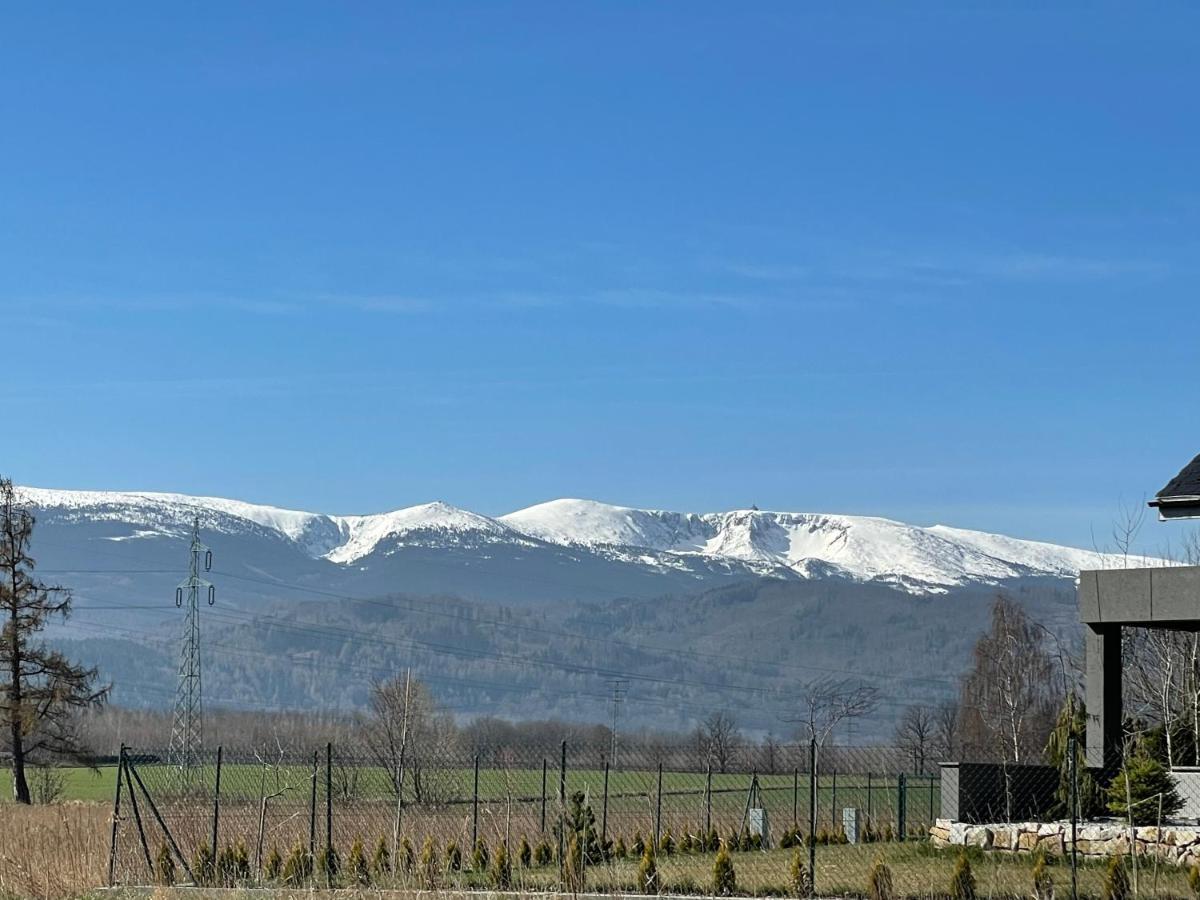 Domki W Karkonoszach Szmaragdowy Widok Wojcieszyce Extérieur photo